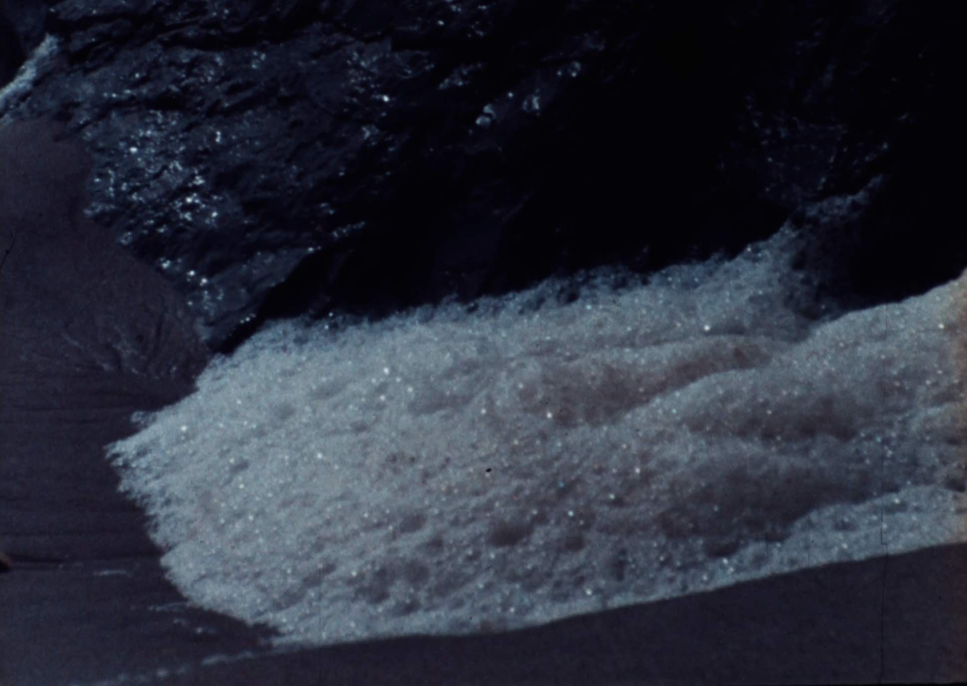 foam on the beach