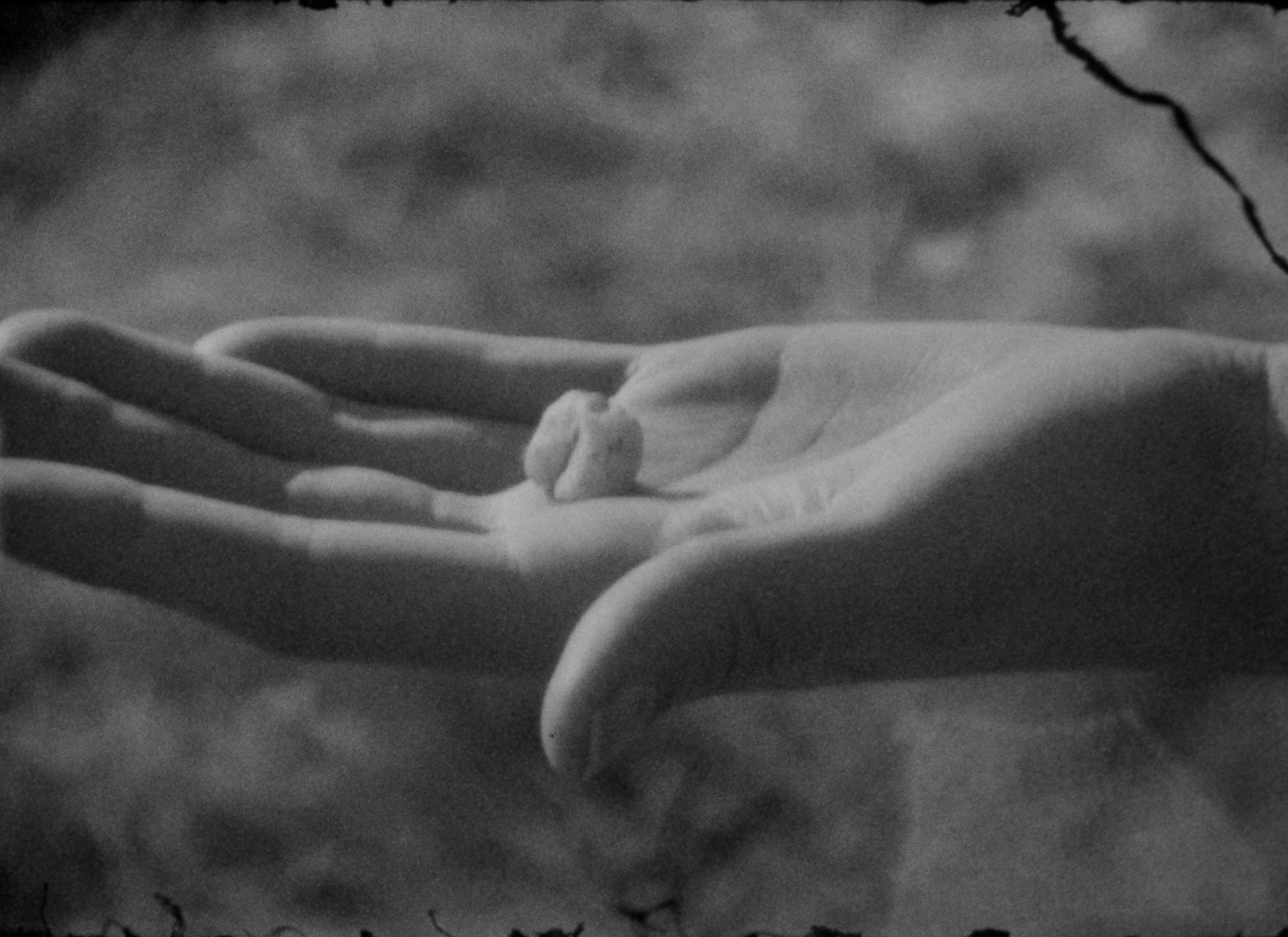 hand holding a stone tooth