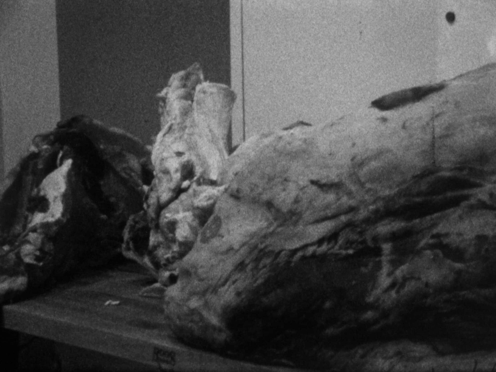 meat on table